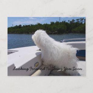 Carte Postale À Bientôt