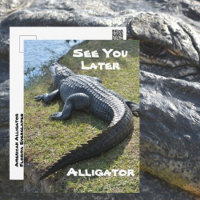 À bientôt alligator Everglades Photographique