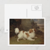 Carte Postale A Blenheim Spaniel, c.1820-30 (huile sur toile) (Devant / Derrière)