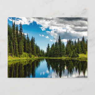 Carte postale à bords de lac et d'arbre À feuillag