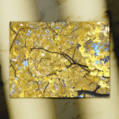 Carte postale à canopée dorée