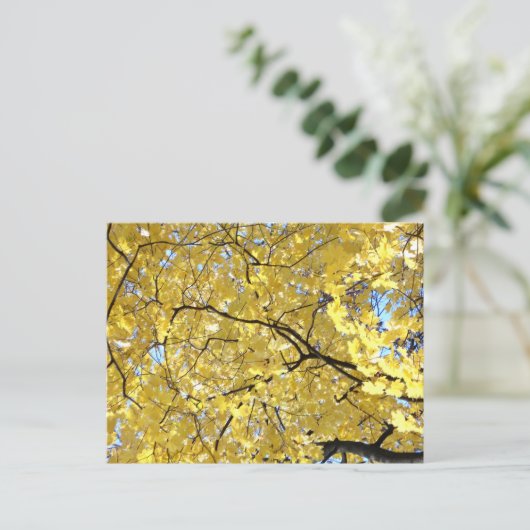 Carte postale à canopée dorée (Debout devant)