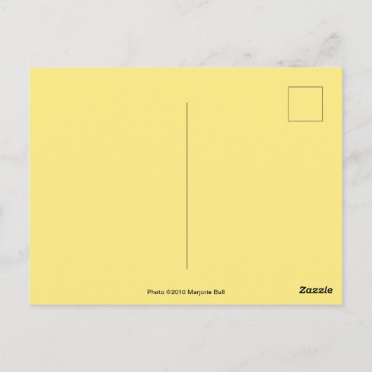 Carte postale à canopée dorée (Dos)