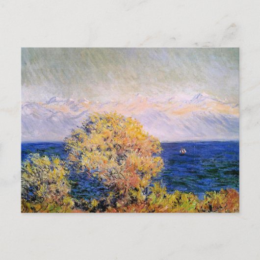 Carte Postale À Cap d'Antibes, vent mistral, (Devant)
