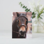 Carte postale à cheval (Debout devant)