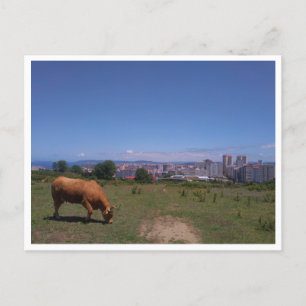Carte Postale A Coruna, Galice (Espagne)