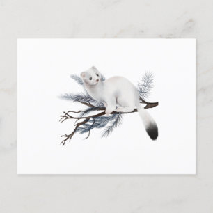 Carte Postale A cute winter weasel perched on a branch