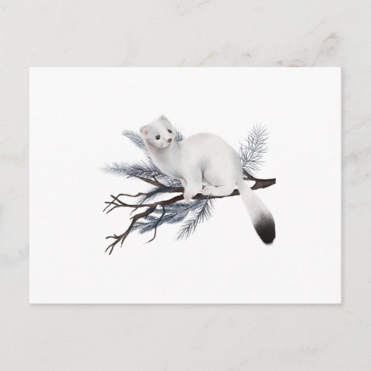 Carte Postale A cute winter weasel perched on a branch (Devant)