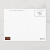 CARTE POSTALE ~ "A Daisy Sunset" (Dos)