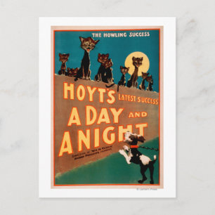 Carte Postale "A Day and a Night" Chats et Chiens Musique
