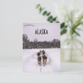 Carte Postale A Dogsled Team in Alaska (Debout devant)