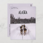 Carte Postale A Dogsled Team in Alaska (Devant / Derrière)