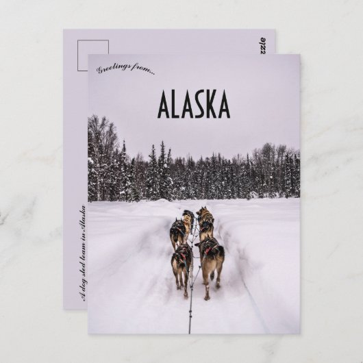 Carte Postale A Dogsled Team in Alaska (Devant / Derrière)