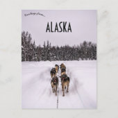 Carte Postale A Dogsled Team in Alaska (Devant)