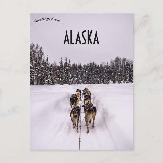 Carte Postale A Dogsled Team in Alaska (Devant)