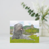 Carte Postale À Eilean Donan (Debout devant)