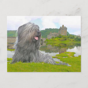 Carte Postale À Eilean Donan