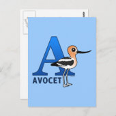 Carte Postale A est destiné à Avocet (Devant / Derrière)