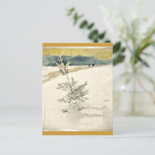 Carte Postale À feuillage persistant (Debout devant)