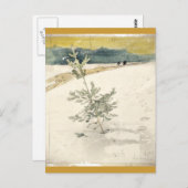 Carte Postale À feuillage persistant (Devant / Derrière)