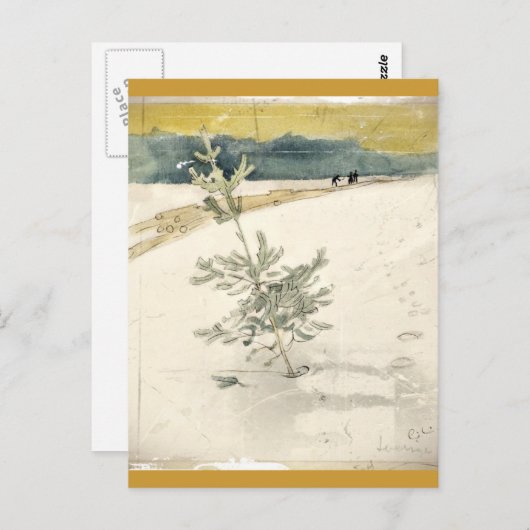 Carte Postale À feuillage persistant (Devant / Derrière)