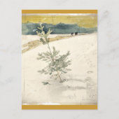 Carte Postale À feuillage persistant (Devant)