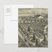 Carte Postale À feuillage persistant Ave (Devant / Derrière)