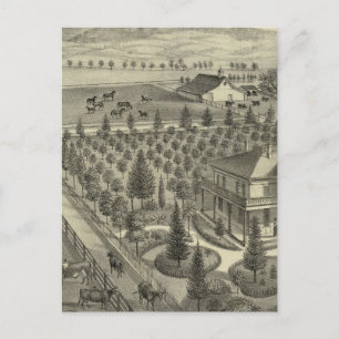 Carte Postale À feuillage persistant Ave