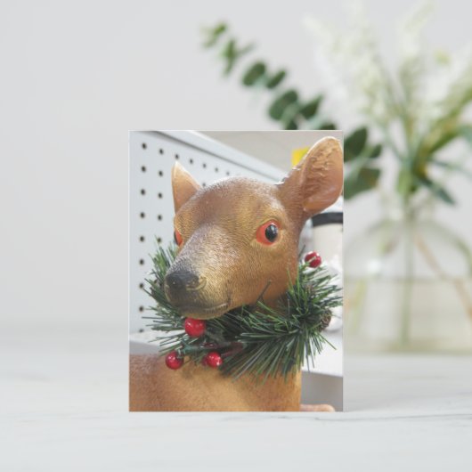 Carte Postale À feuillage persistant Deer (Debout devant)