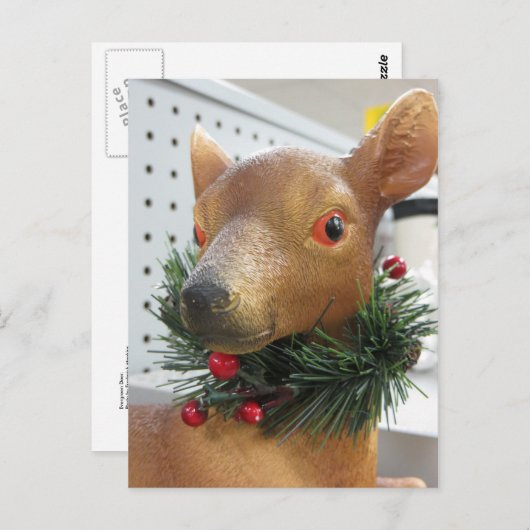 Carte Postale À feuillage persistant Deer (Devant / Derrière)