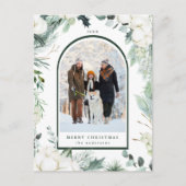 Carte Postale À feuillage persistant & Fleurs de coton Arch Phot (Devant)