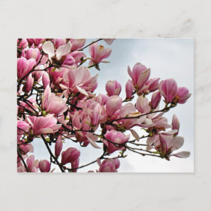 Carte postale à fleurs 79