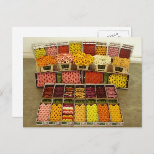 Carte postale à fleurs 86 (Devant / Derrière)