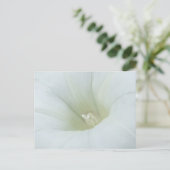 Carte postale à fleurs blanches (Debout devant)