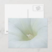 Carte postale à fleurs blanches (Devant / Derrière)
