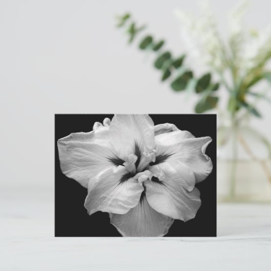 Carte postale à fleurs blanches (Debout devant)