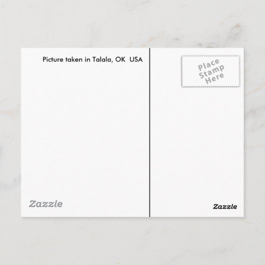 Carte postale à fleurs bleues (Dos)