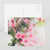 CARTE POSTALE À FLEURS BLOSSOM (Devant / Derrière)