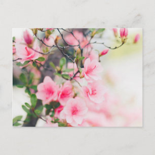 CARTE POSTALE À FLEURS BLOSSOM