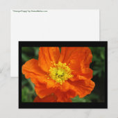 Carte postale à fleurs de crapaud orange (Devant / Derrière)