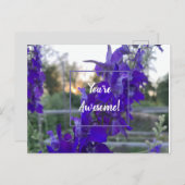 Carte postale à fleurs violettes (Devant / Derrière)