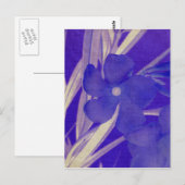 Carte postale à fleurs violettes (Devant / Derrière)
