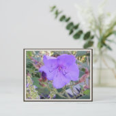 Carte postale à fleurs violettes (Debout devant)
