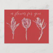 Carte Postale A flower for you (Devant)