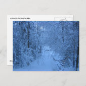 Carte Postale A Forest en hiver (Devant / Derrière)