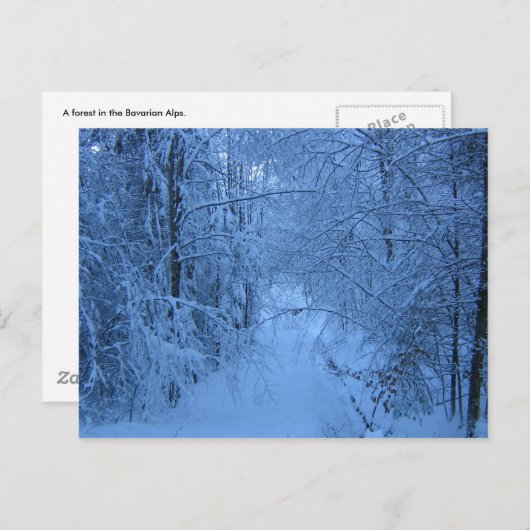 Carte Postale A Forest en hiver (Devant / Derrière)