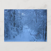 Carte Postale A Forest en hiver (Devant)