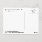 Carte postale à gorge jaune commune (Dos)