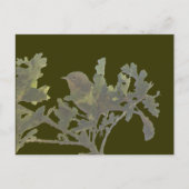 Carte postale à gorge jaune commune (Devant)