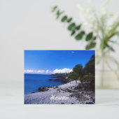Carte Postale a, Hawaï (Debout devant)